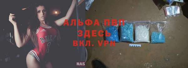 гидра Аркадак
