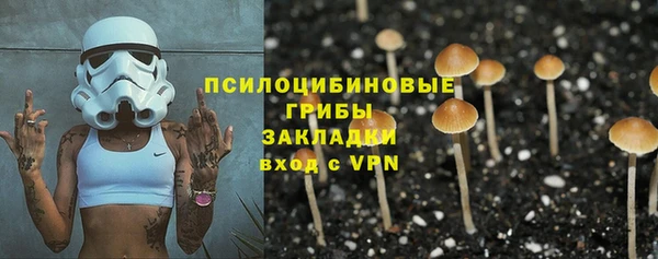 каннабис Арсеньев